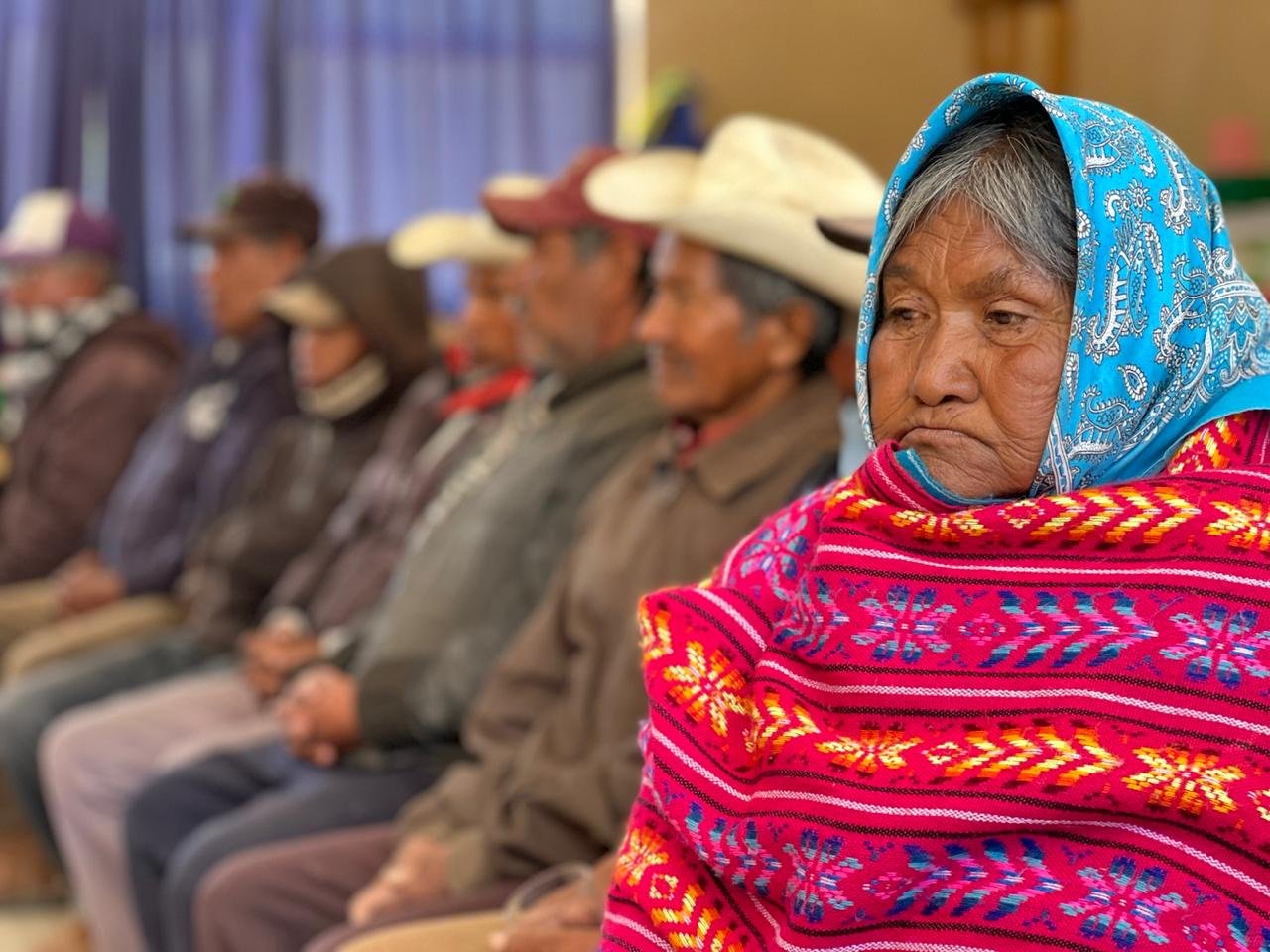 Portada de Indolenguo